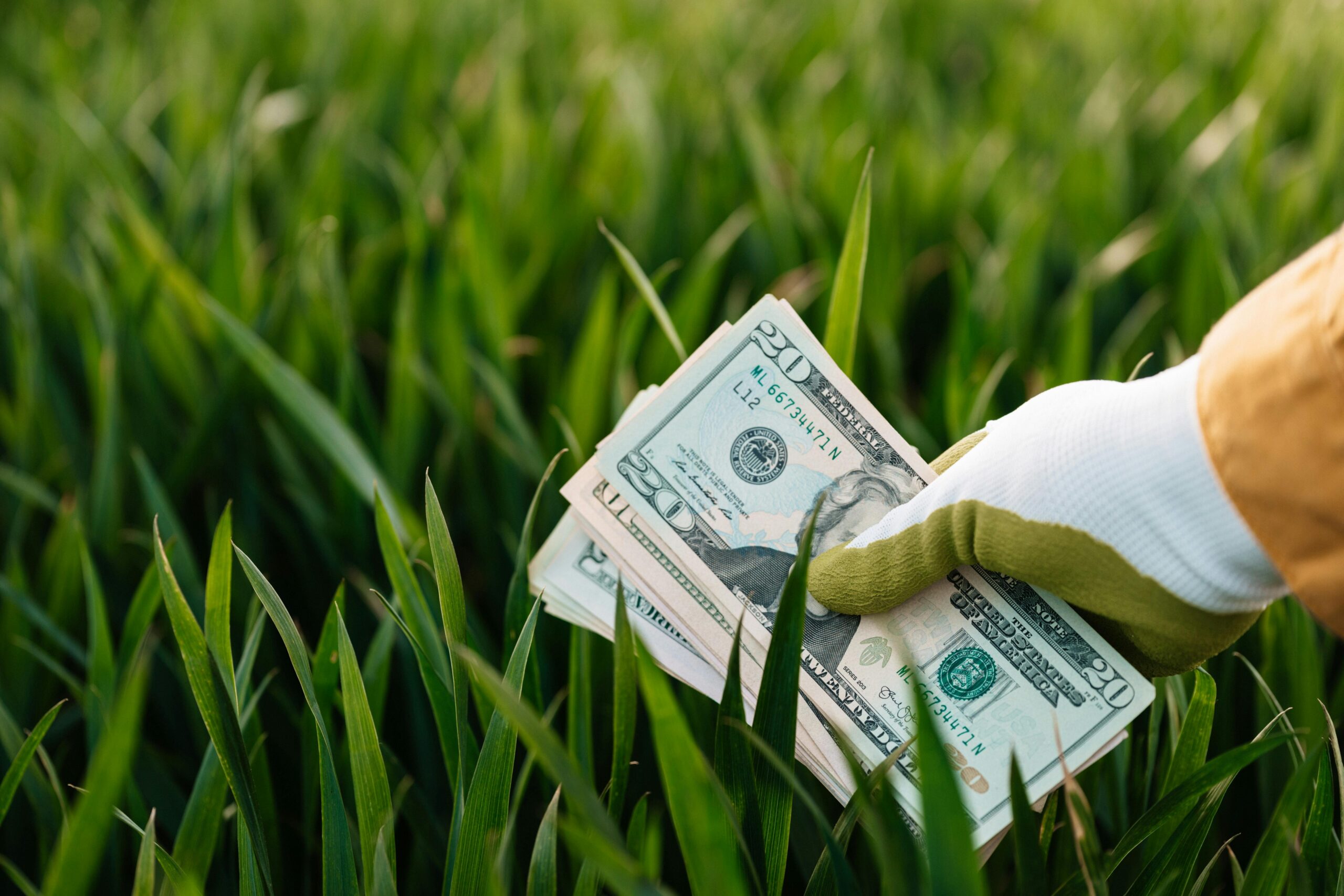 Financial growth and investment returns
